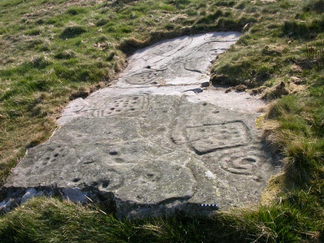 Cup and ring marked stone in sunlight