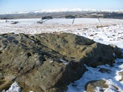 Large cup and ring marked rock in the snow