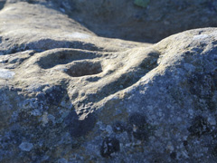 Close up of cup and ring mark
