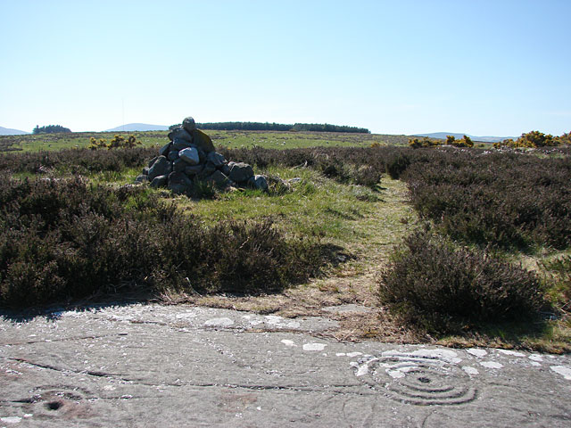 Expanse of cup and ring marked rock on moorland