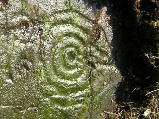 Cup mark surrounded by elongated rings
